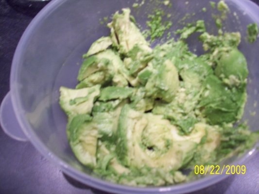 Avocado Spicy Dip