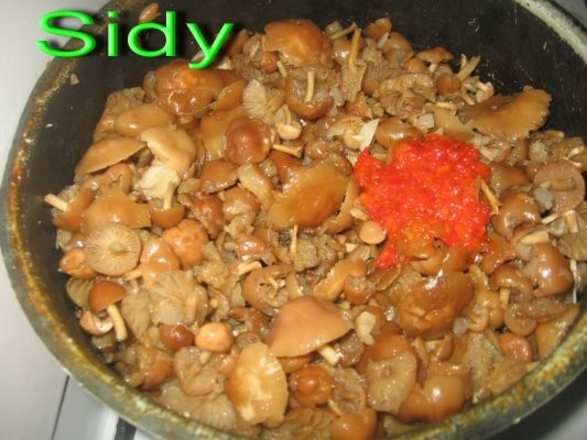 Ciulama din bureti de roua