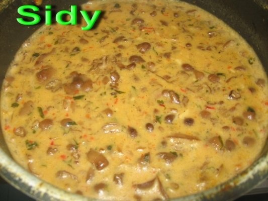 Ciulama din bureti de roua