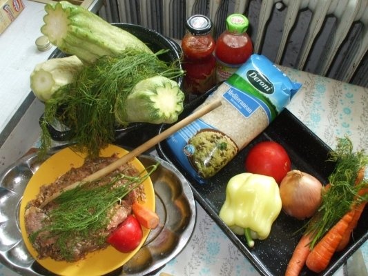 Dovlecei - nuferi - cu curcan