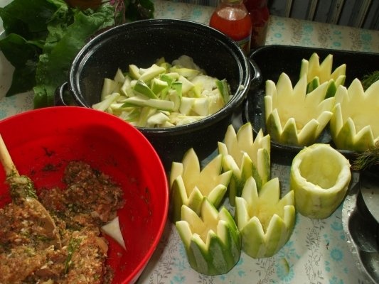 Dovlecei - nuferi - cu curcan