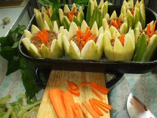 Dovlecei - nuferi - cu curcan