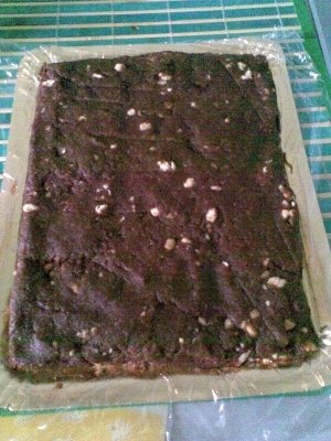 Ciocolata falsa cu biscuiti