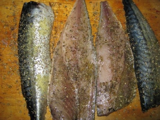 Macrou la gratar cu sos de usturoi