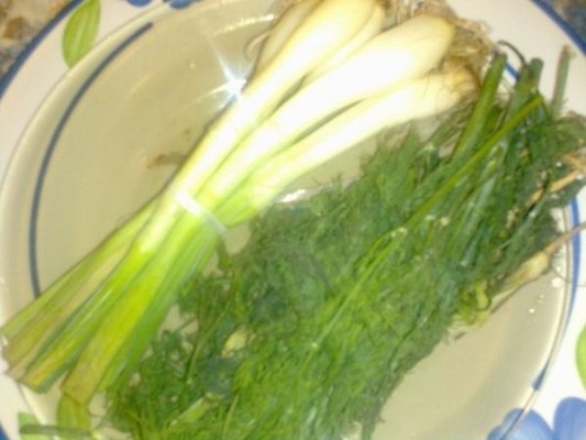 Ciorba de salata verde - ca la mama acasa!