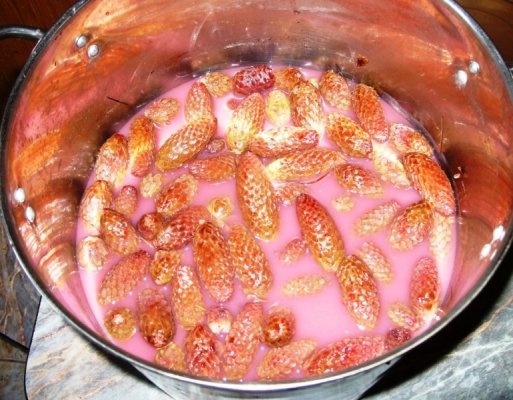 Sirop din conuri de brad