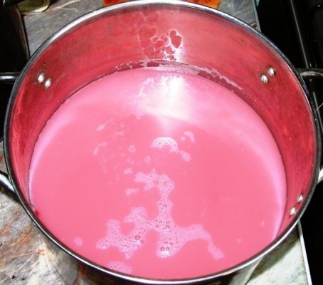 Sirop din conuri de brad