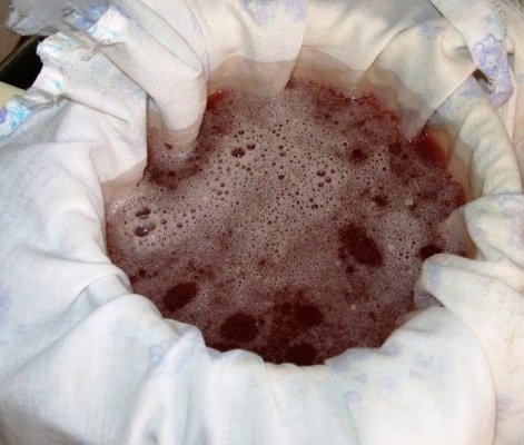 Sirop din conuri de brad