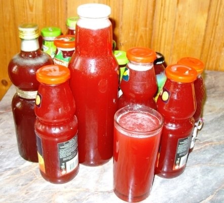 Sirop din conuri de brad