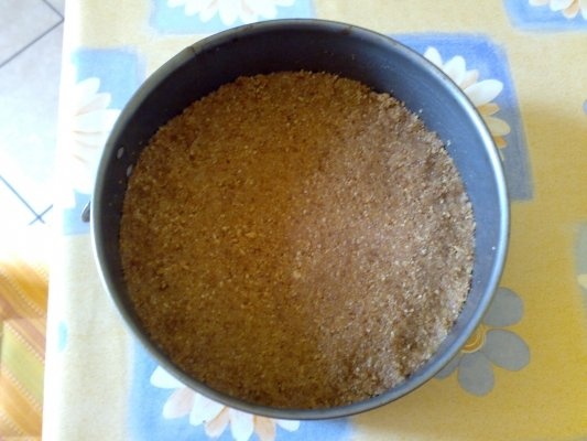 Cheesecake 1 - ciocolata si nuca de cocos