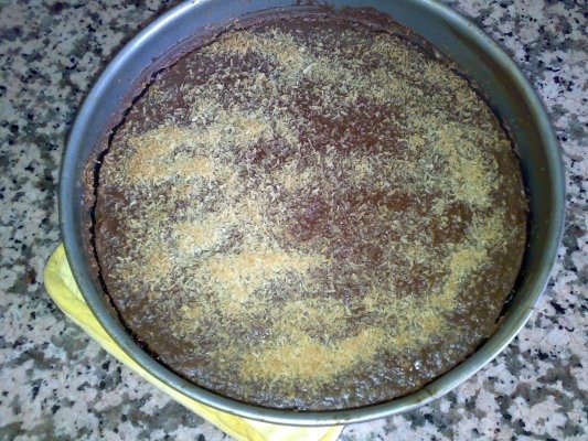 Cheesecake 1 - ciocolata si nuca de cocos