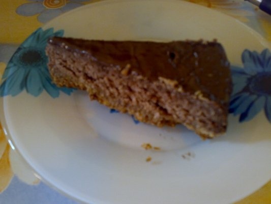 Cheesecake 1 - ciocolata si nuca de cocos