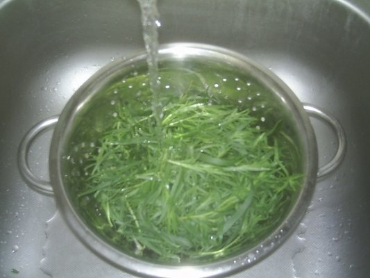 DIN CATEGORIA CONDIMENTE VERZI CONGELATE - TARHON  VERDE