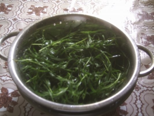 DIN CATEGORIA CONDIMENTE VERZI CONGELATE - TARHON  VERDE