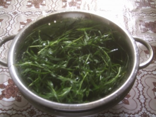 DIN CATEGORIA CONDIMENTE VERZI CONGELATE - TARHON  VERDE