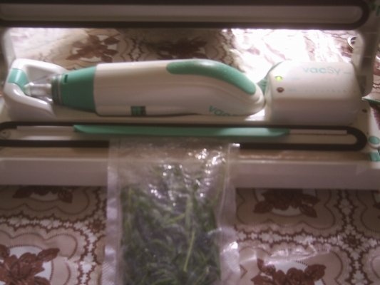 DIN CATEGORIA CONDIMENTE VERZI CONGELATE - TARHON  VERDE