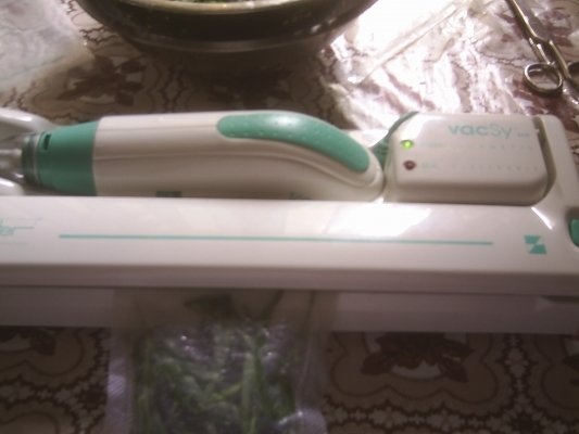 DIN CATEGORIA CONDIMENTE VERZI CONGELATE - TARHON  VERDE