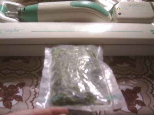 DIN CATEGORIA CONDIMENTE VERZI CONGELATE - TARHON  VERDE