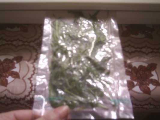 DIN CATEGORIA CONDIMENTE VERZI CONGELATE - TARHON  VERDE