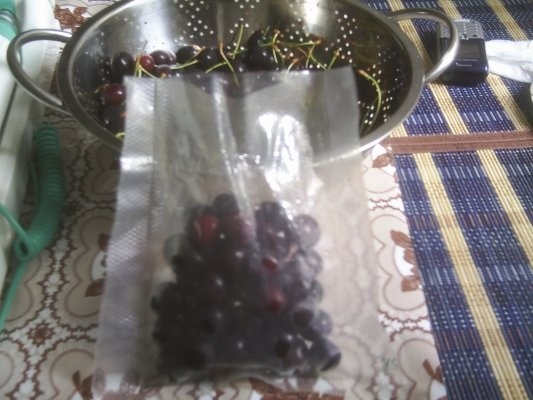 DIN CATEGORIA FRUCTE CONGELATE -CIRESE  SI VISINE