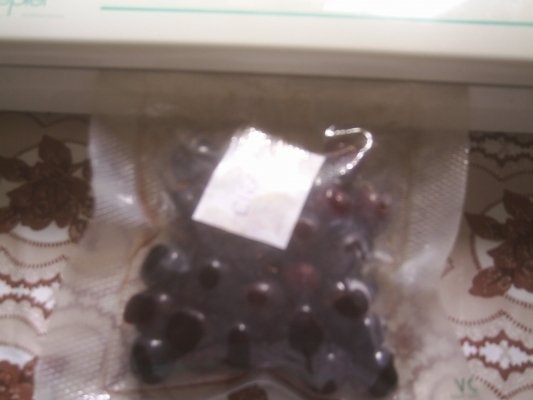 DIN CATEGORIA FRUCTE CONGELATE -CIRESE  SI VISINE