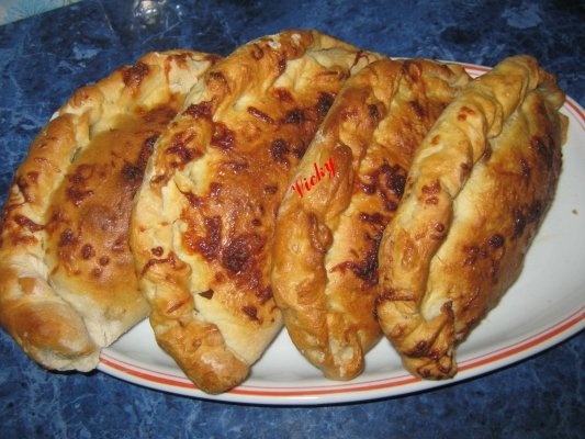 Pizza calzone