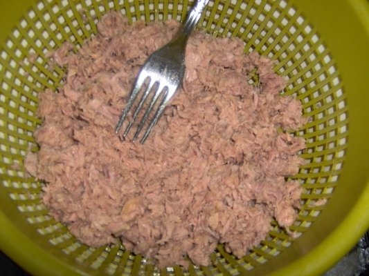 BUDINCA CU TON SI LEGUME