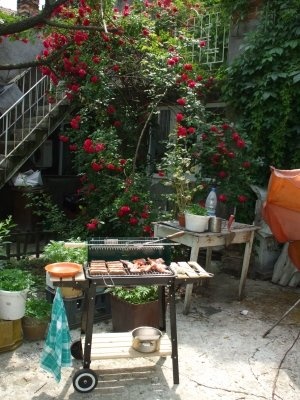 Gratar de aripioare si mititei de pui