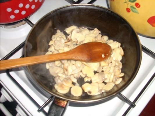 RULOURI DI PIEPT DE PUI CU CIUPERCI