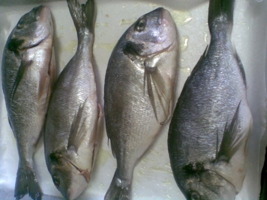 DORADA LA CUPTOR CU LEGUME