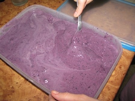 Inghetata de afine si iaurt