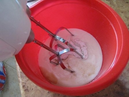 Inghetata de iaurt cu ciocolata alba