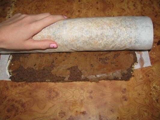 Rulada de ciocolata cu cafea si alune de padure