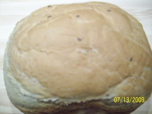 PAINE DE CASA (MASINA)