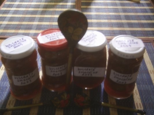 DULCEATA DE SMOCHINE VERZI SI ROSII