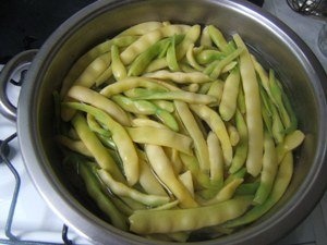 Fasole verde lata sau fideluta