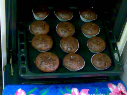 Cioco Muffins