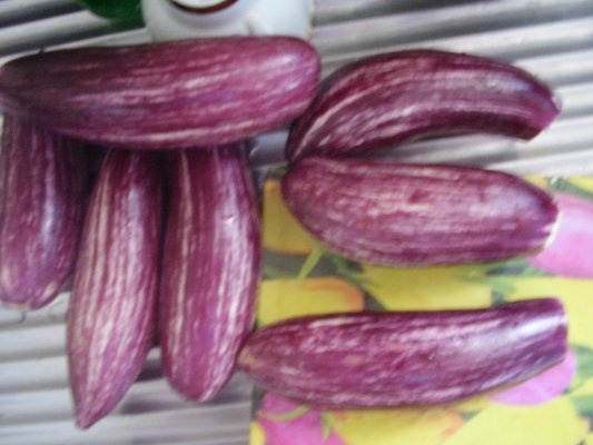 Vinete umpute cu carne la cuptor