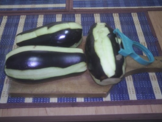 VINETE SI DOVLECEI LA GRATAR