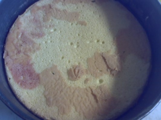 Tort de semifreddo cu ciocolata si capsuni