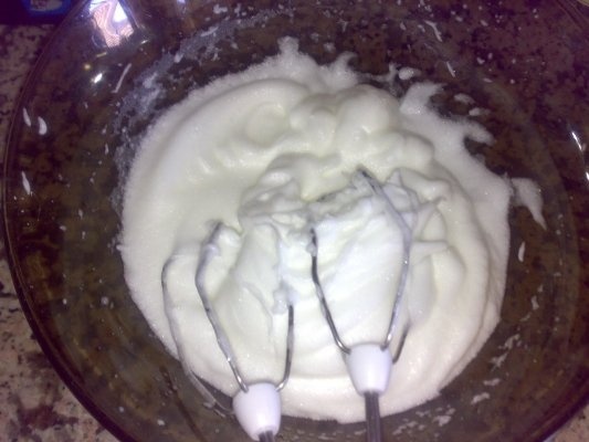 Tort de semifreddo cu ciocolata si capsuni