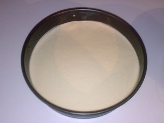 Tort de semifreddo cu ciocolata si capsuni