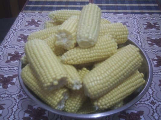 DIN CATEGORIA LEGUME CRUDE CONGELATE - PORUMBUL