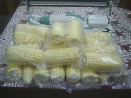 DIN CATEGORIA LEGUME CRUDE CONGELATE - PORUMBUL