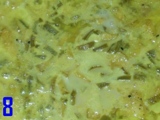 FILE DE PESTE IN SOS DE FRISCA LICHIDA