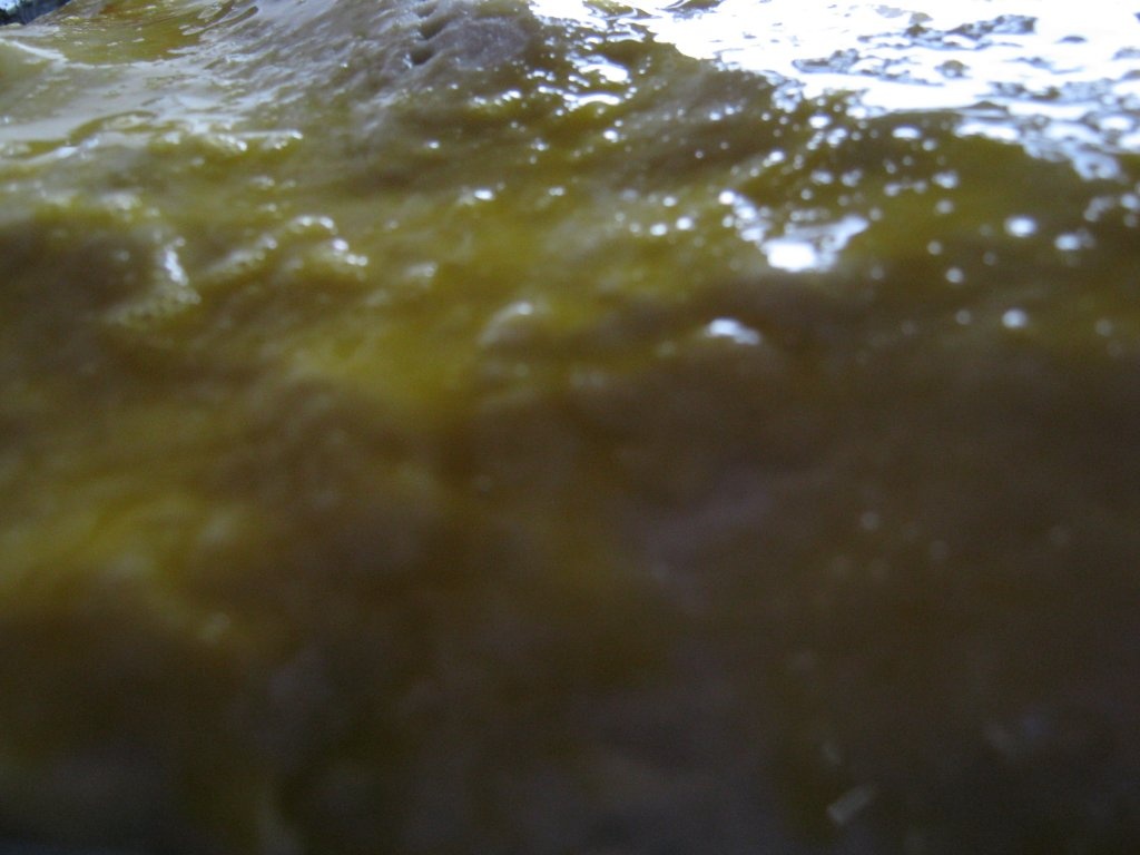 Placinta cu spanac si branza