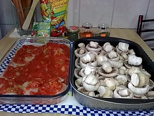 Piept de pui pe pat de rosii cu ciuperci champignion.