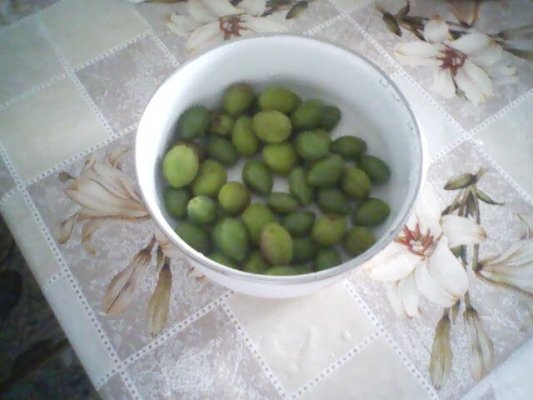 CIORBA DE VARA CU ZARZARE SI PRUNE