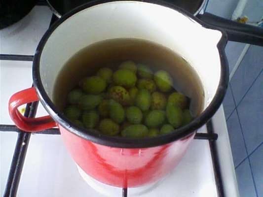 CIORBA DE VARA CU ZARZARE SI PRUNE