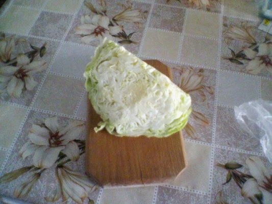 CIORBA DE VARA CU ZARZARE SI PRUNE